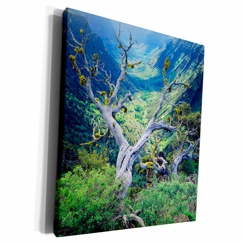 3dRose Steens mountain, Little Blitzen Gorge, Oregon, USA -... - Museum Grade Canvas Wrap (cw_146229)