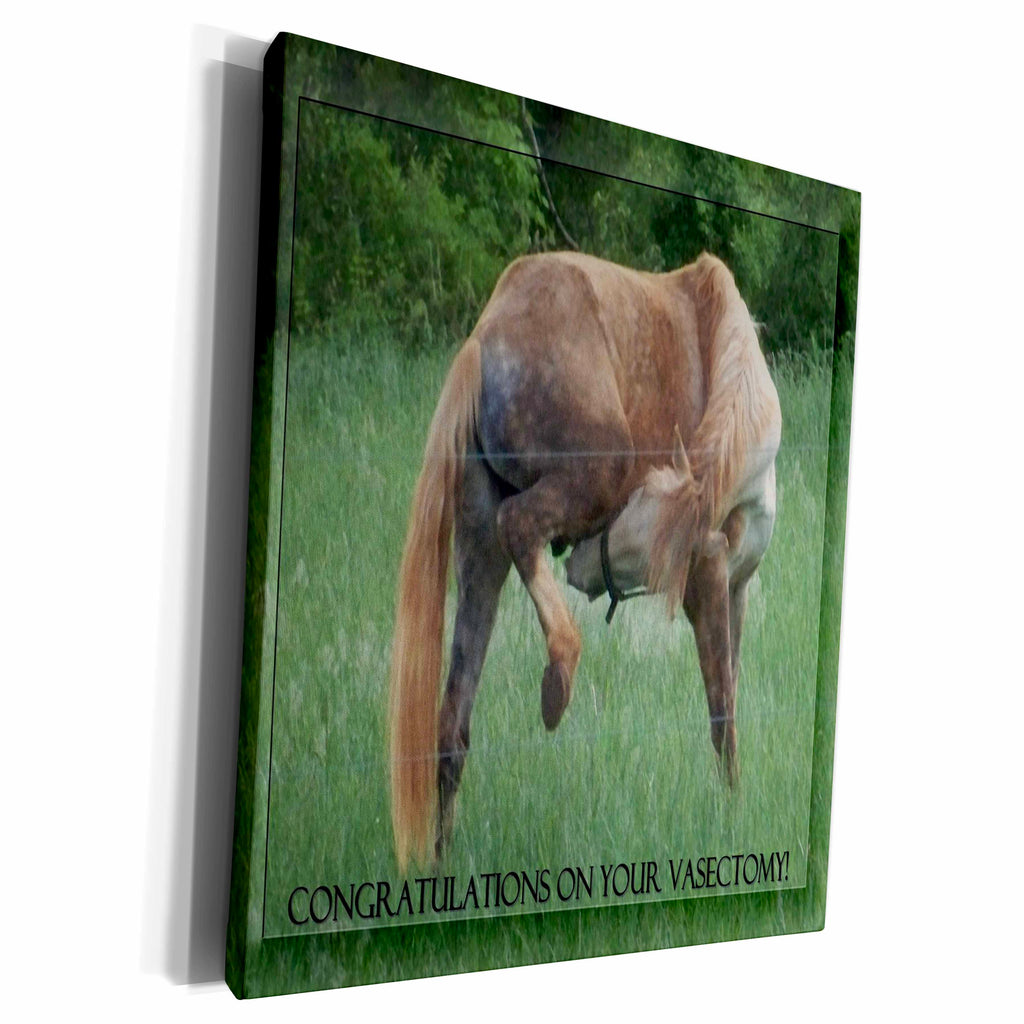 3dRose Funny Horse Green Background Congratulations On... - Museum Grade Canvas Wrap (cw_14775)