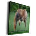 3dRose Funny Horse Green Background Congratulations On... - Museum Grade Canvas Wrap (cw_14775)