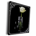 3dRose Framed Classic Rose - Museum Grade Canvas Wrap (cw_149947)