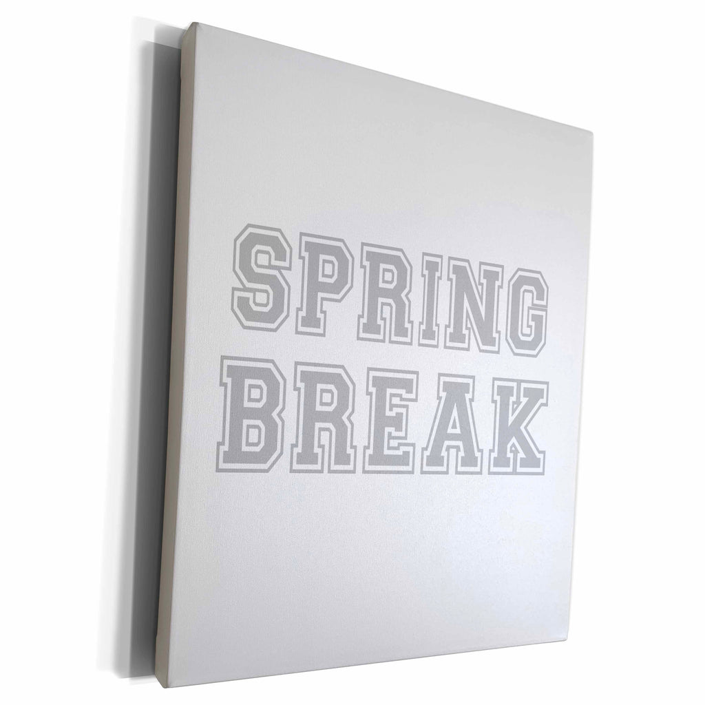 3dRose Spring Break holiday - fun school vacation trip... - Museum Grade Canvas Wrap (cw_151254)
