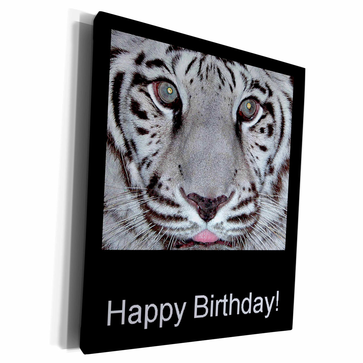 3dRose White Tiger, Happy Birthday - Museum Grade Canvas Wrap (cw_15190)