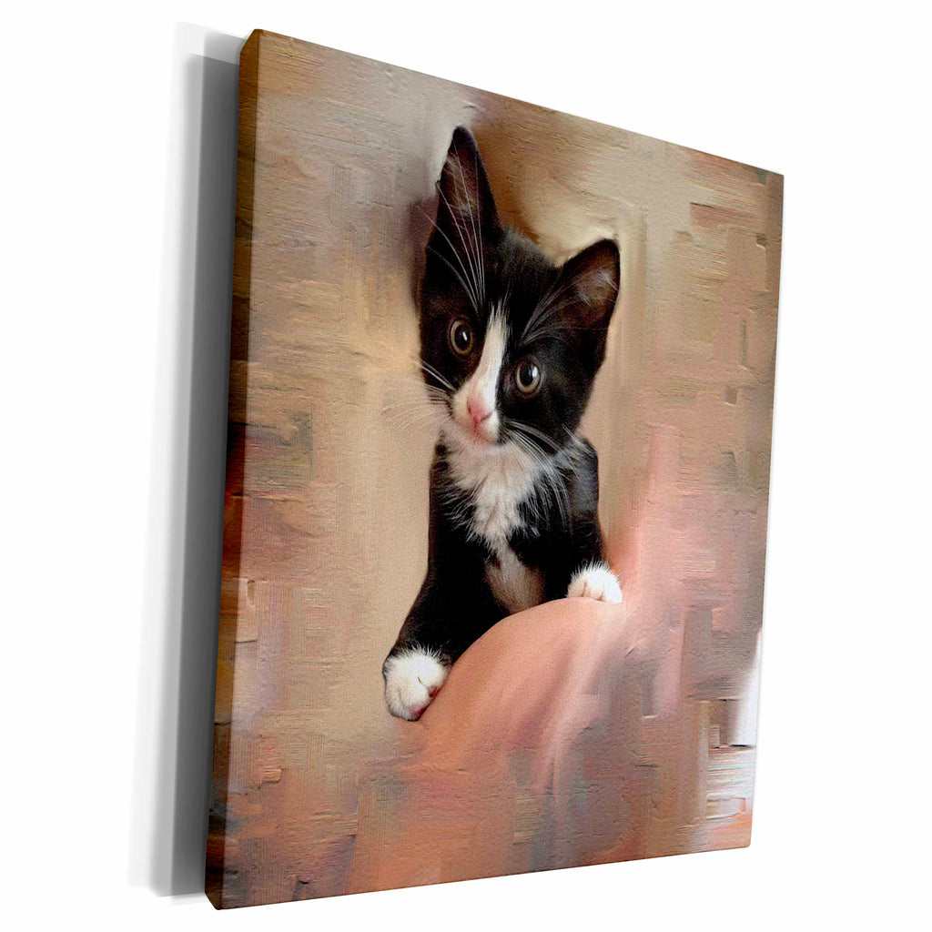 3dRose Cat - tuxedo kitten - Museum Grade Canvas Wrap (cw_153164)