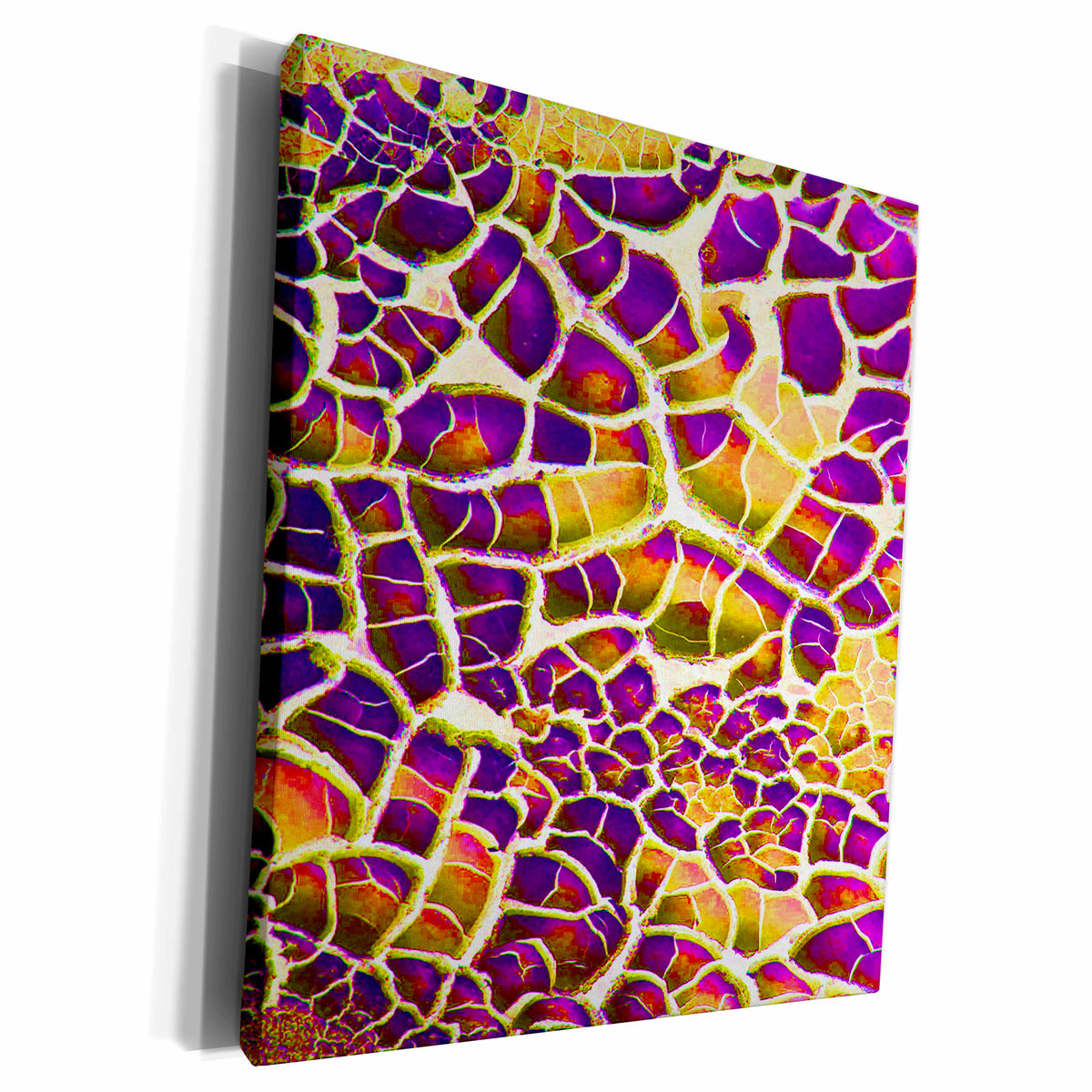 3dRose Purple Beige Art Deco Facade - Museum Grade Canvas Wrap (cw_15520)