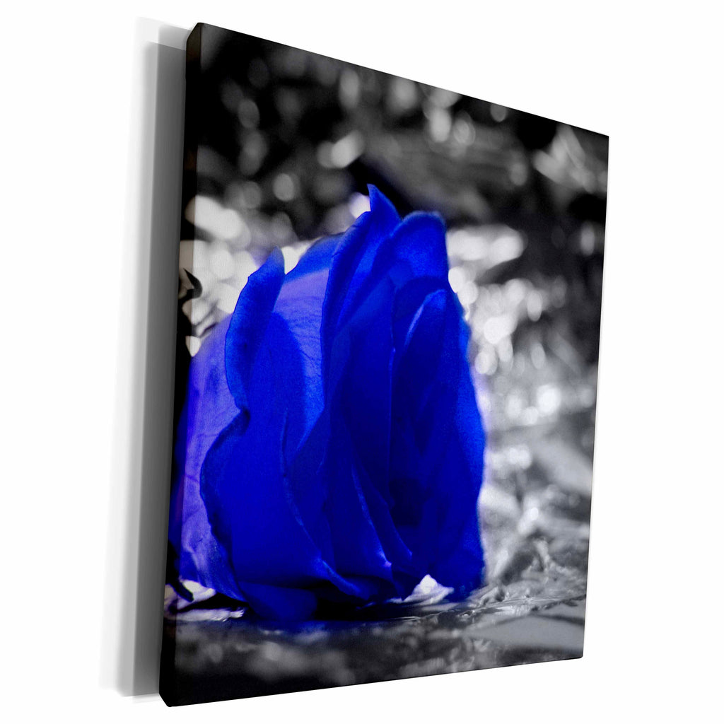 3dRose Blue rose on left with silver background - Museum Grade Canvas Wrap (cw_155956)