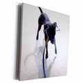 3dRose black dog testing water at beach sand - Museum Grade Canvas Wrap (cw_156144)
