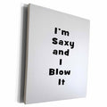 3dRose saxy and I blow it text - Museum Grade Canvas Wrap (cw_156360)