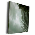 3dRose Green palm trees and gray cloudy sky - Museum Grade Canvas Wrap (cw_157882)