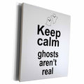 3dRose EvaDane - Funny Quotes - Keep calm ghosts aren’t real - Museum Grade Canvas Wrap (cw_161177)