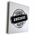 3dRose Certified Awesome since 2008 - funny birthday... - Museum Grade Canvas Wrap (cw_161721)