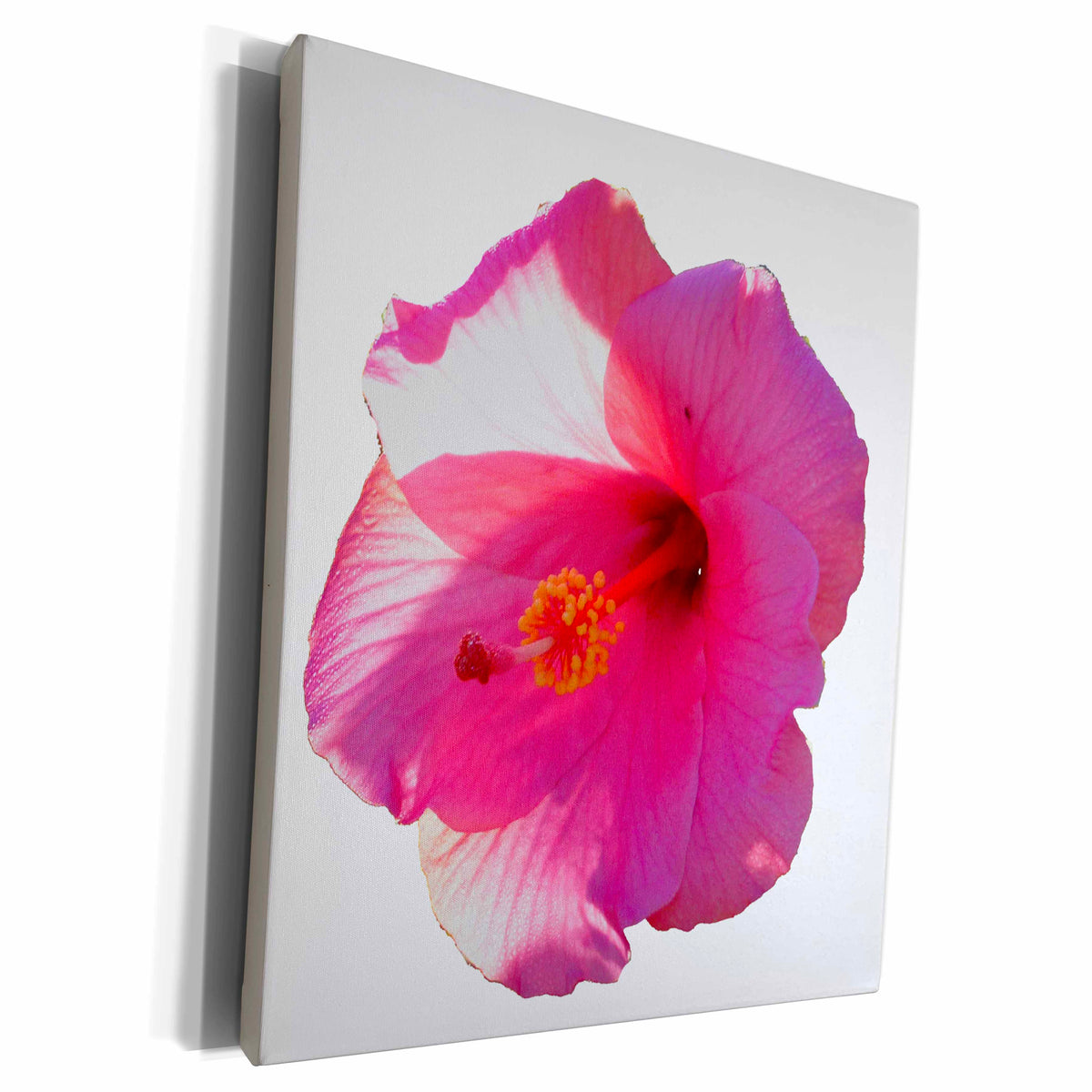3dRose pink hibiscus flower image - Museum Grade Canvas Wrap (cw_162219)