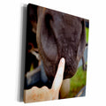 3dRose tag your it finger on muzzle horse - Museum Grade Canvas Wrap (cw_162238)