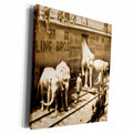 3dRose Vintage Barnum Elephants - Museum Grade Canvas Wrap (cw_16232)