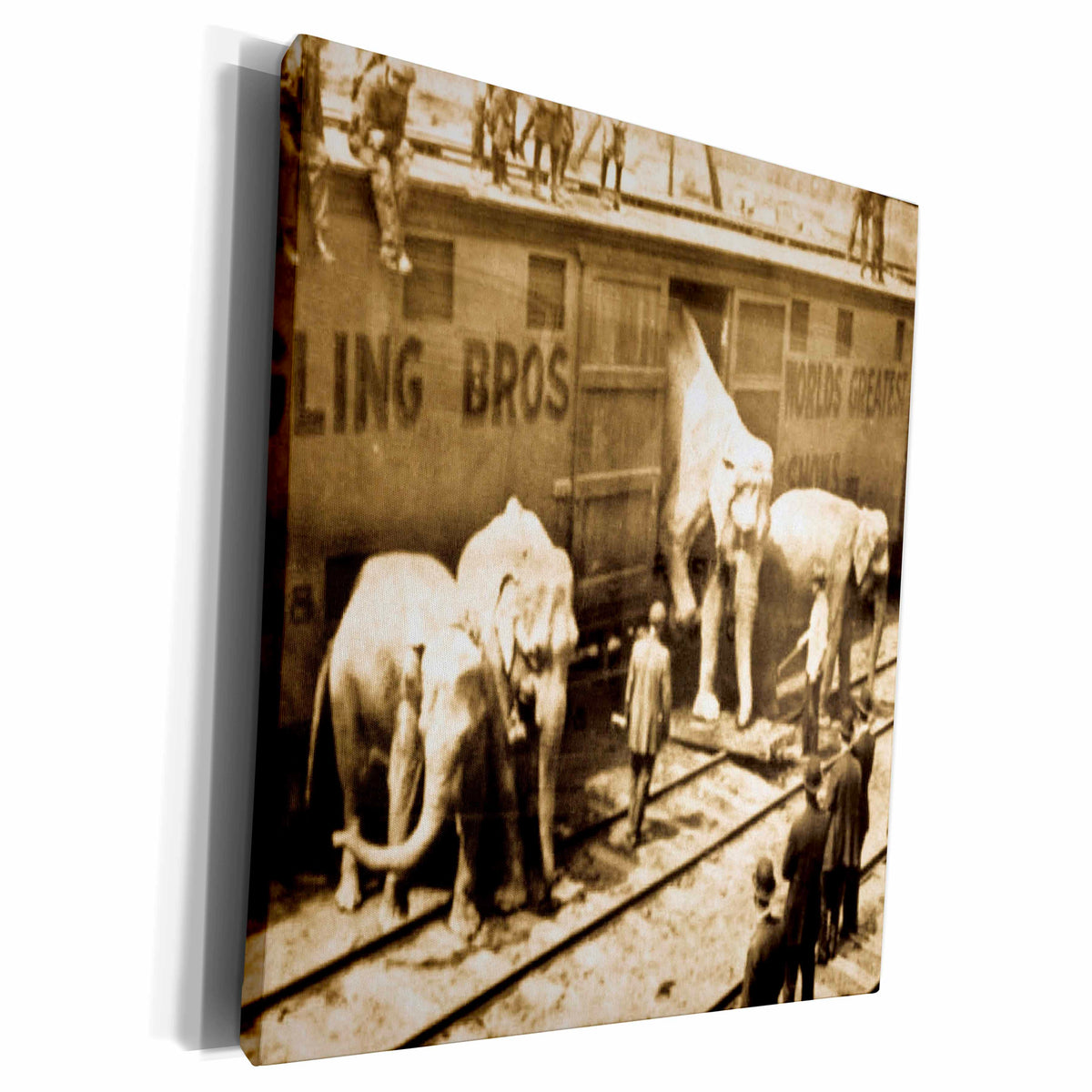 3dRose Vintage Barnum Elephants - Museum Grade Canvas Wrap (cw_16232)