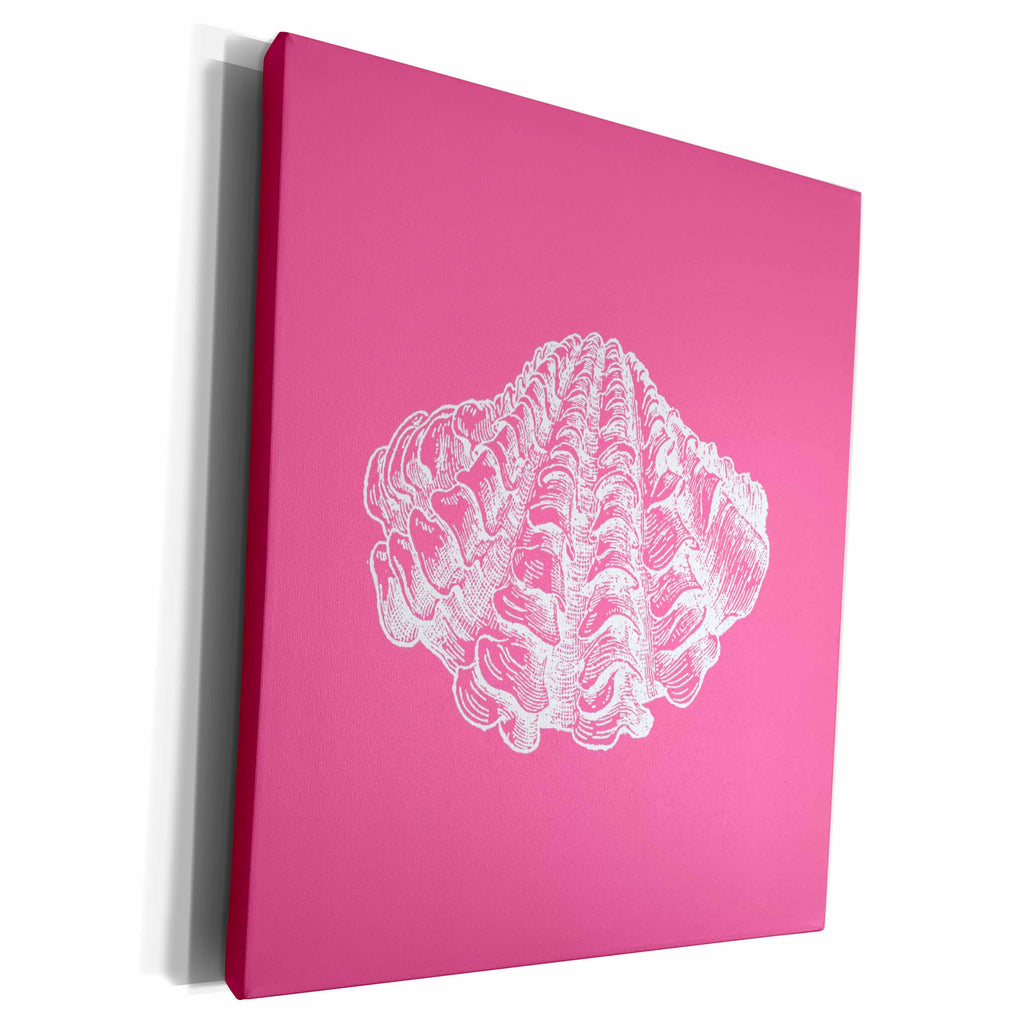 3dRose Pink seashell etching print. Modern Sea shell clam... - Museum Grade Canvas Wrap (cw_164976)