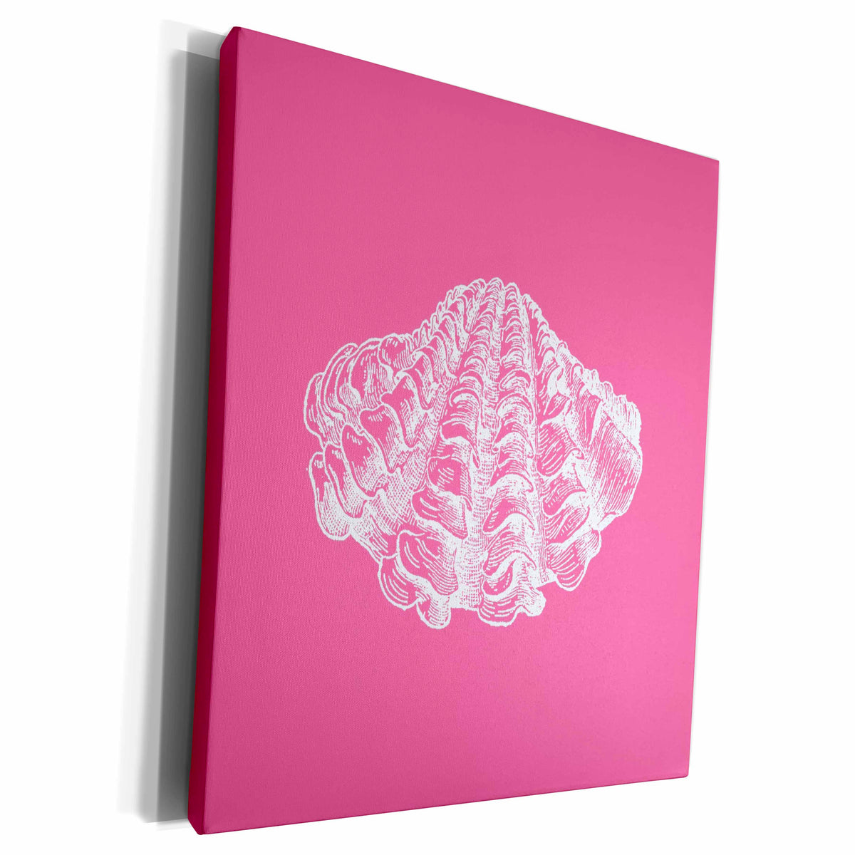3dRose Pink seashell etching print. Modern Sea shell clam... - Museum Grade Canvas Wrap (cw_164976)