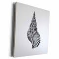 3dRose Conical seashell. Black and white beach sea shell... - Museum Grade Canvas Wrap (cw_164979)