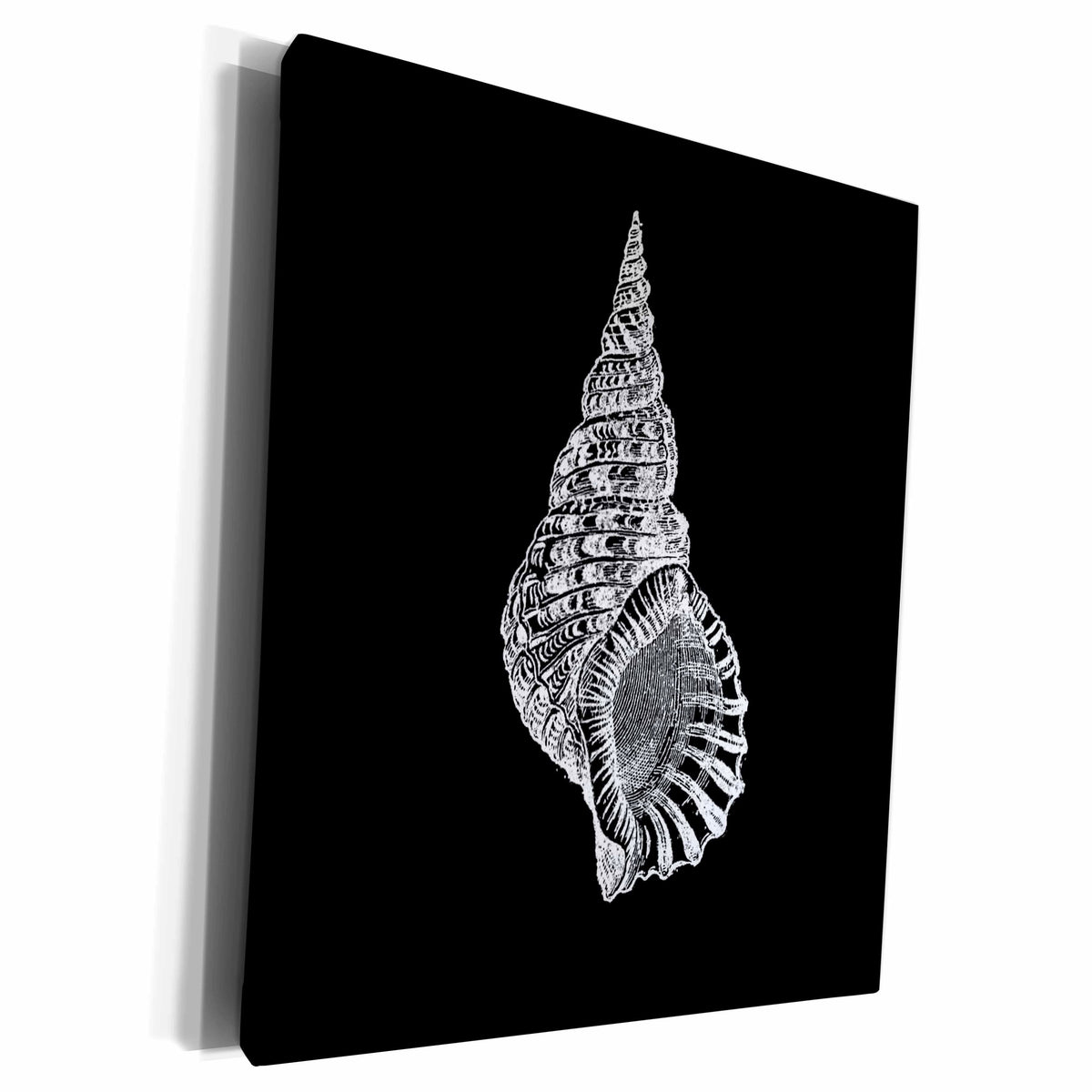 3dRose Black Conical seashell print white beach sea shell... - Museum Grade Canvas Wrap (cw_164980)