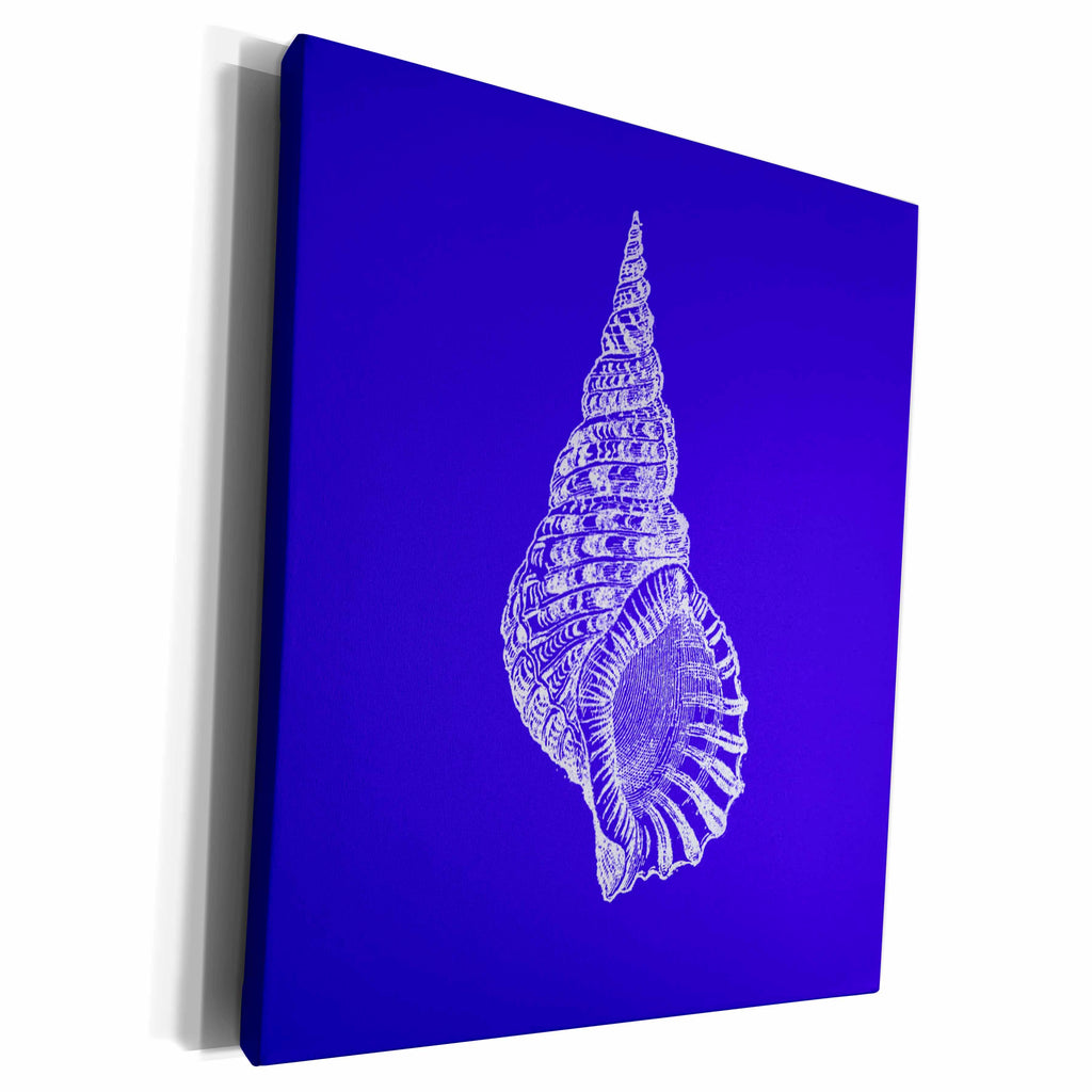 3dRose Dark blue Conical seashell print beach sea shell... - Museum Grade Canvas Wrap (cw_164982)