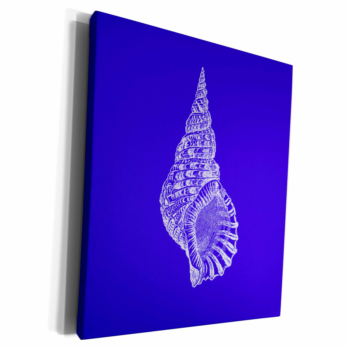 3dRose Dark blue Conical seashell print beach sea shell... - Museum Grade Canvas Wrap (cw_164982)