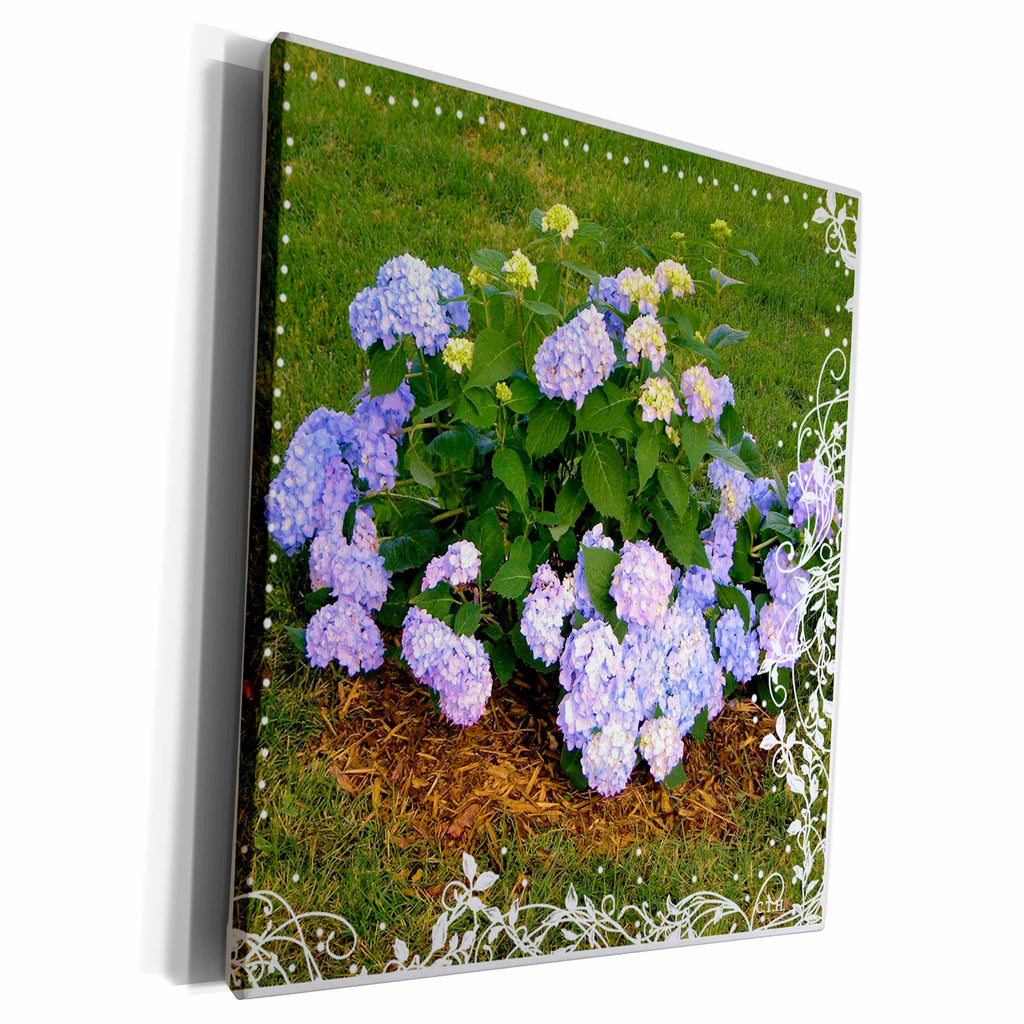 3dRose Blue Hydrangea Heaven - Museum Grade Canvas Wrap (cw_174890)