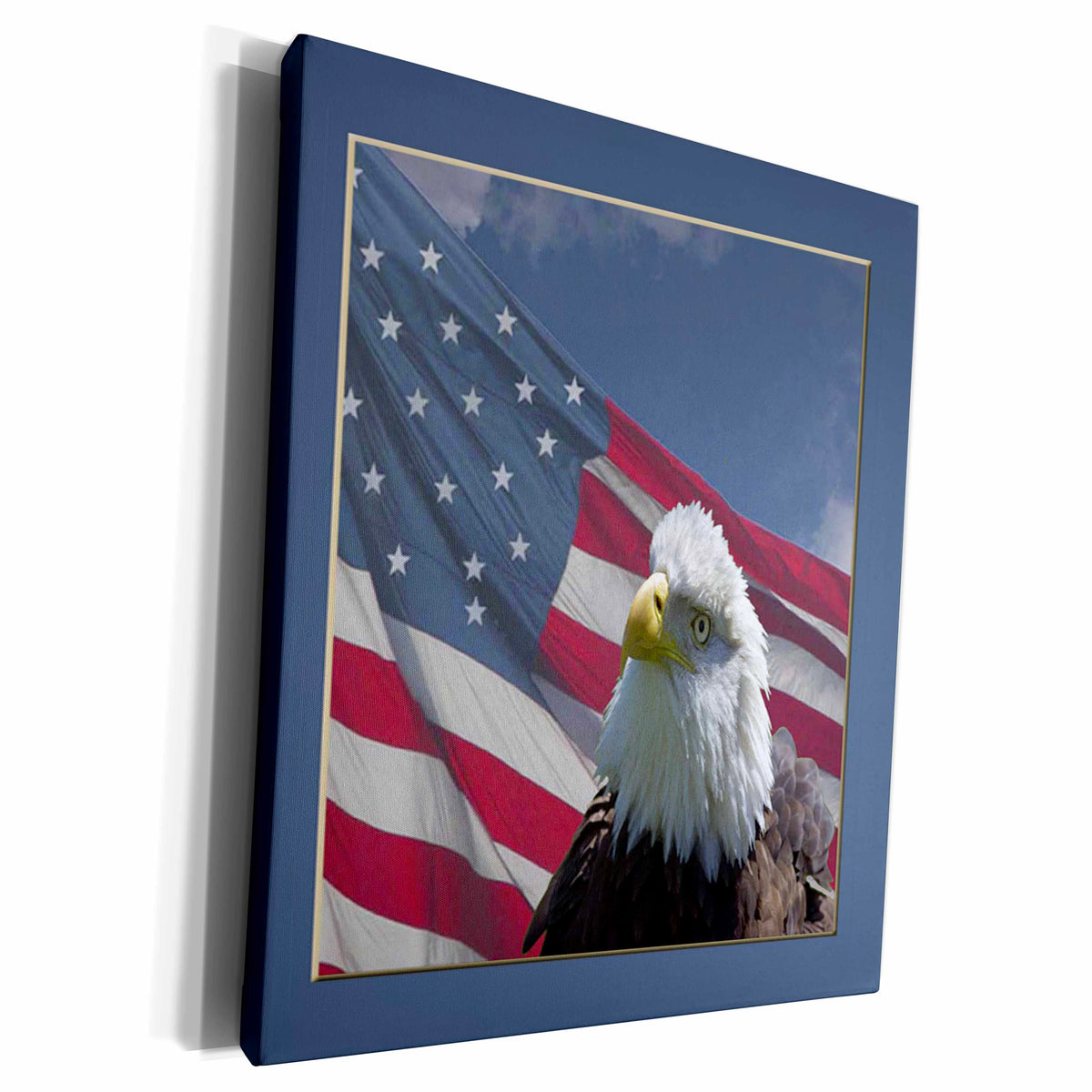 3dRose Eagle with American Flag - Museum Grade Canvas Wrap (cw_17510)
