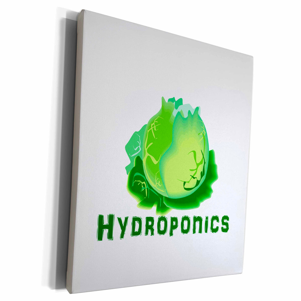 3dRose Hydroponics With Lettuce Design Graphic - Museum Grade Canvas Wrap (cw_175776)