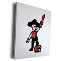 3dRose pirate boy rough graphic - Museum Grade Canvas Wrap (cw_178376)