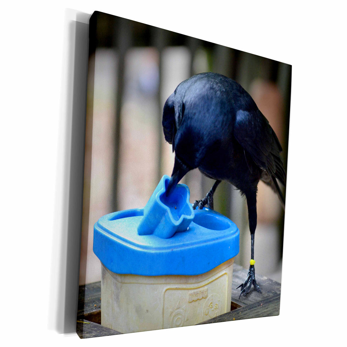 3dRose Susans Zoo Crew Animals - black crow shape sorting - Museum Grade Canvas Wrap (cw_178423)