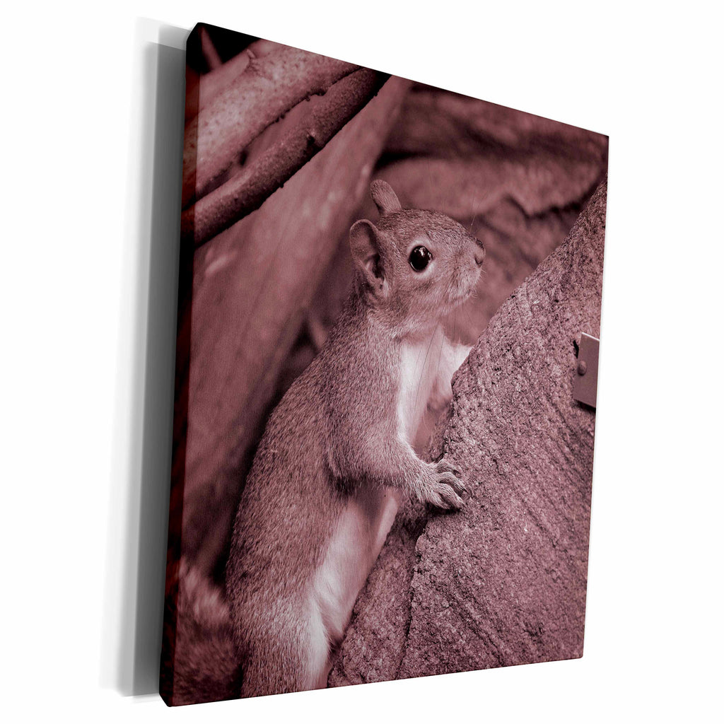 3dRose squirrel climbing tree reddish - Museum Grade Canvas Wrap (cw_178599)