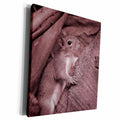 3dRose squirrel climbing tree reddish - Museum Grade Canvas Wrap (cw_178599)