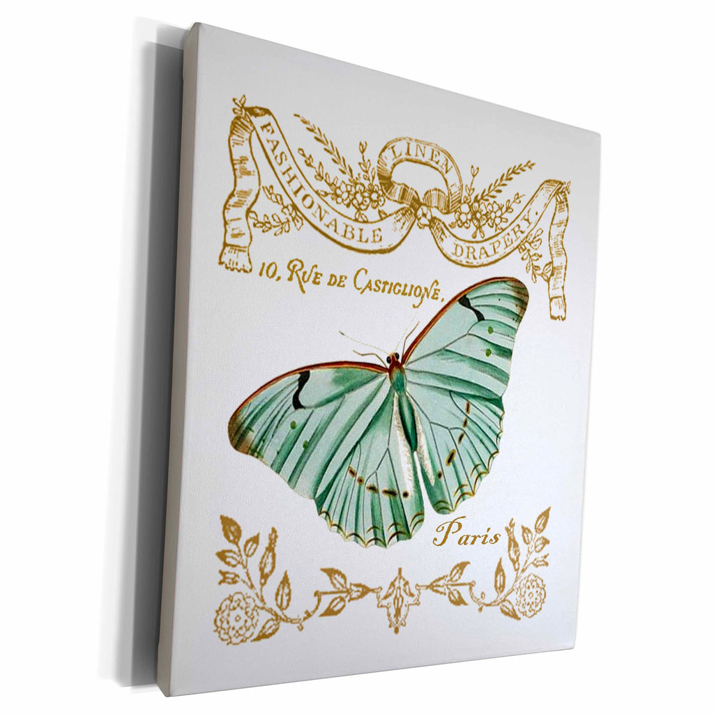 3dRose PS Animals - Paris Butterfly - Museum Grade Canvas Wrap (cw_178823)