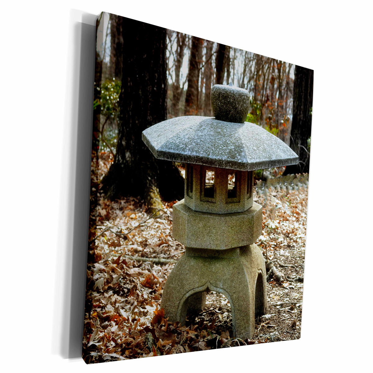 3dRose A Feng Shui garden structure - Museum Grade Canvas Wrap (cw_179640)