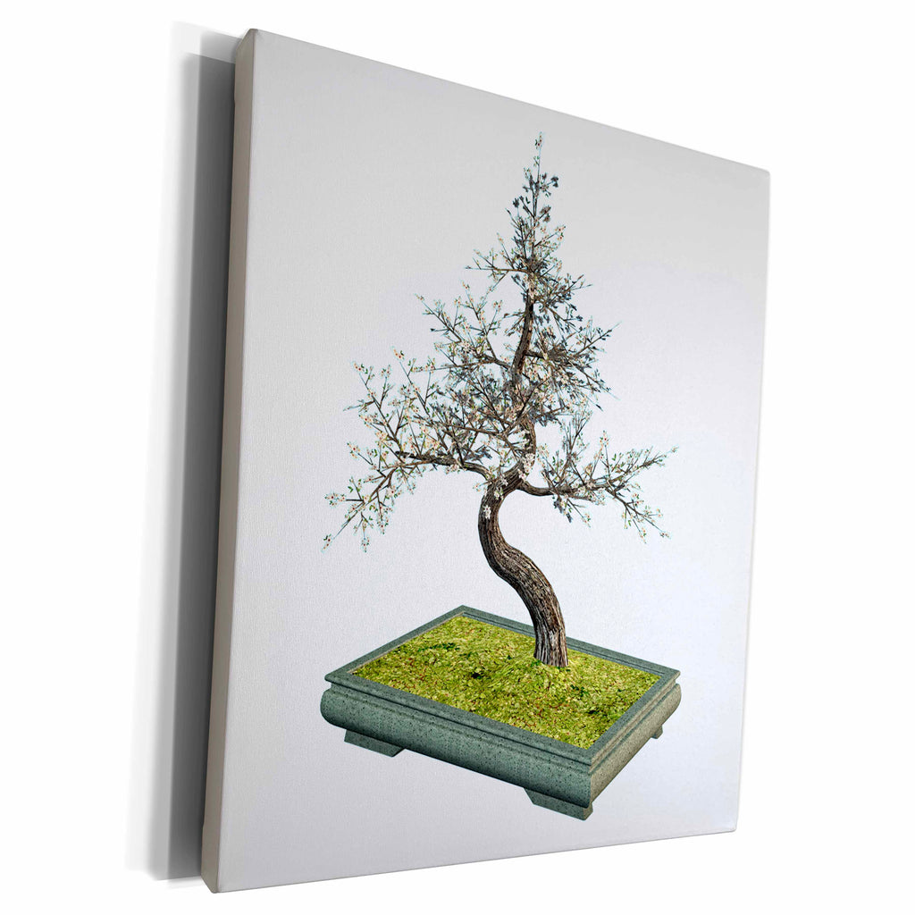 3dRose A cherry tree bonsai with white leaves - Museum Grade Canvas Wrap (cw_179995)