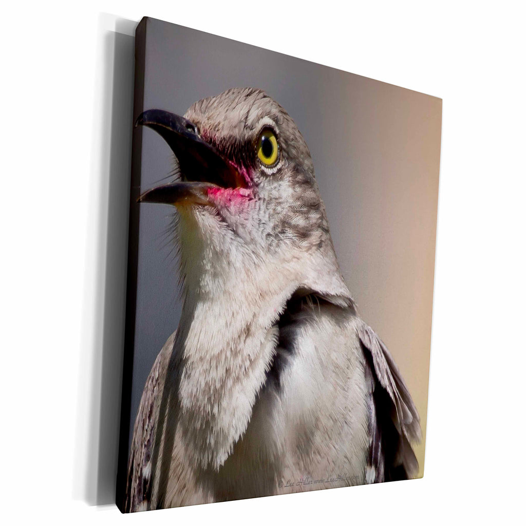 3dRose Birds Northern Mockingbird Singing - Museum Grade Canvas Wrap (cw_18029)