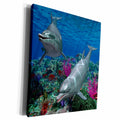 3dRose Two cute dolphins swim in the ocean. A undersea scene - Museum Grade Canvas Wrap (cw_181785)
