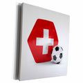 3dRose Switzerland Soccer Ball - Museum Grade Canvas Wrap (cw_181917)