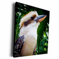 3dRose bird against green kookaburra - Museum Grade Canvas Wrap (cw_182067)