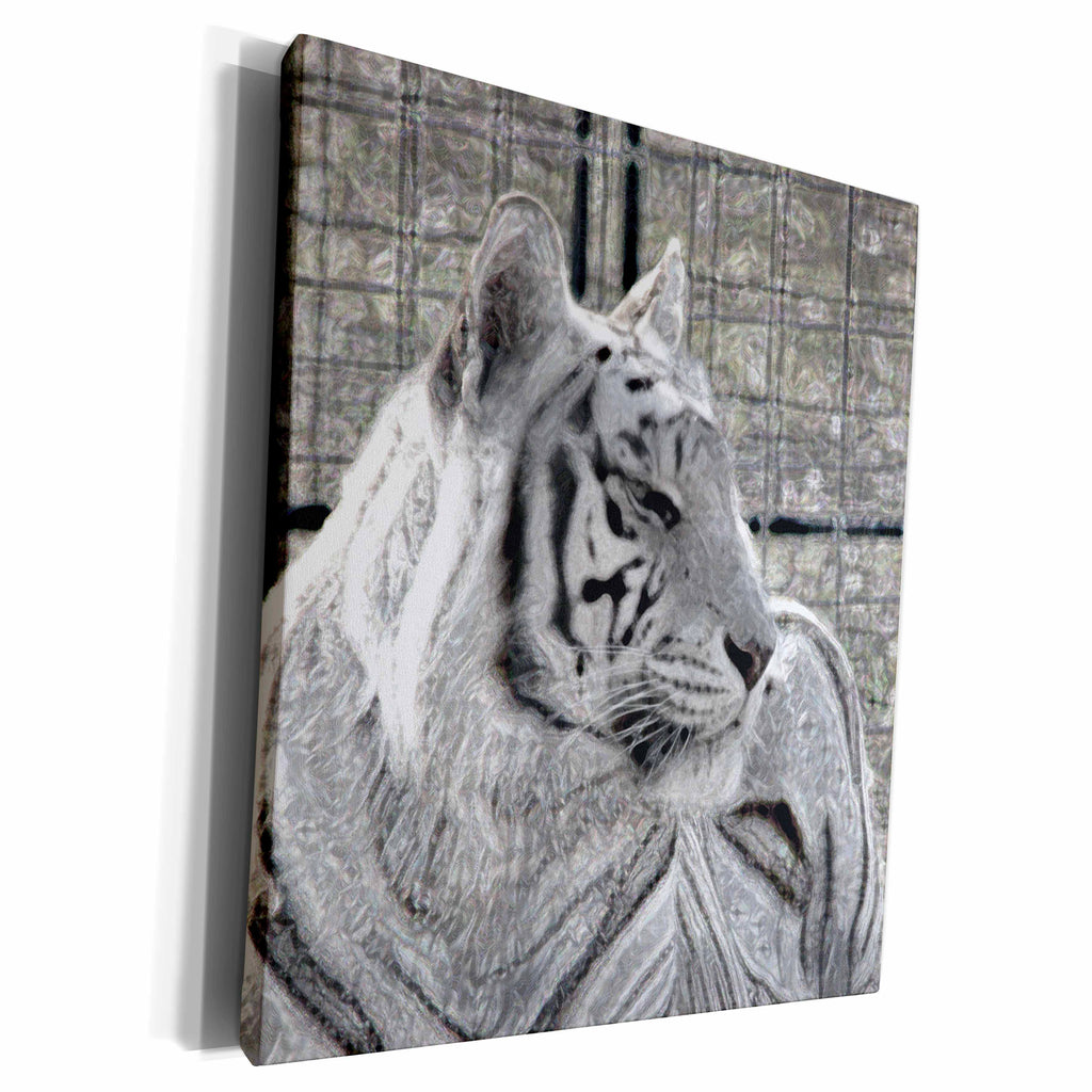 3dRose white tiger looking right black and white sparkle - Museum Grade Canvas Wrap (cw_184827)