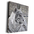 3dRose white tiger looking right black and white sparkle - Museum Grade Canvas Wrap (cw_184827)