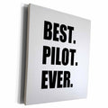 3dRose Best Pilot Ever, fun appreciation gift for talented... - Museum Grade Canvas Wrap (cw_185012)