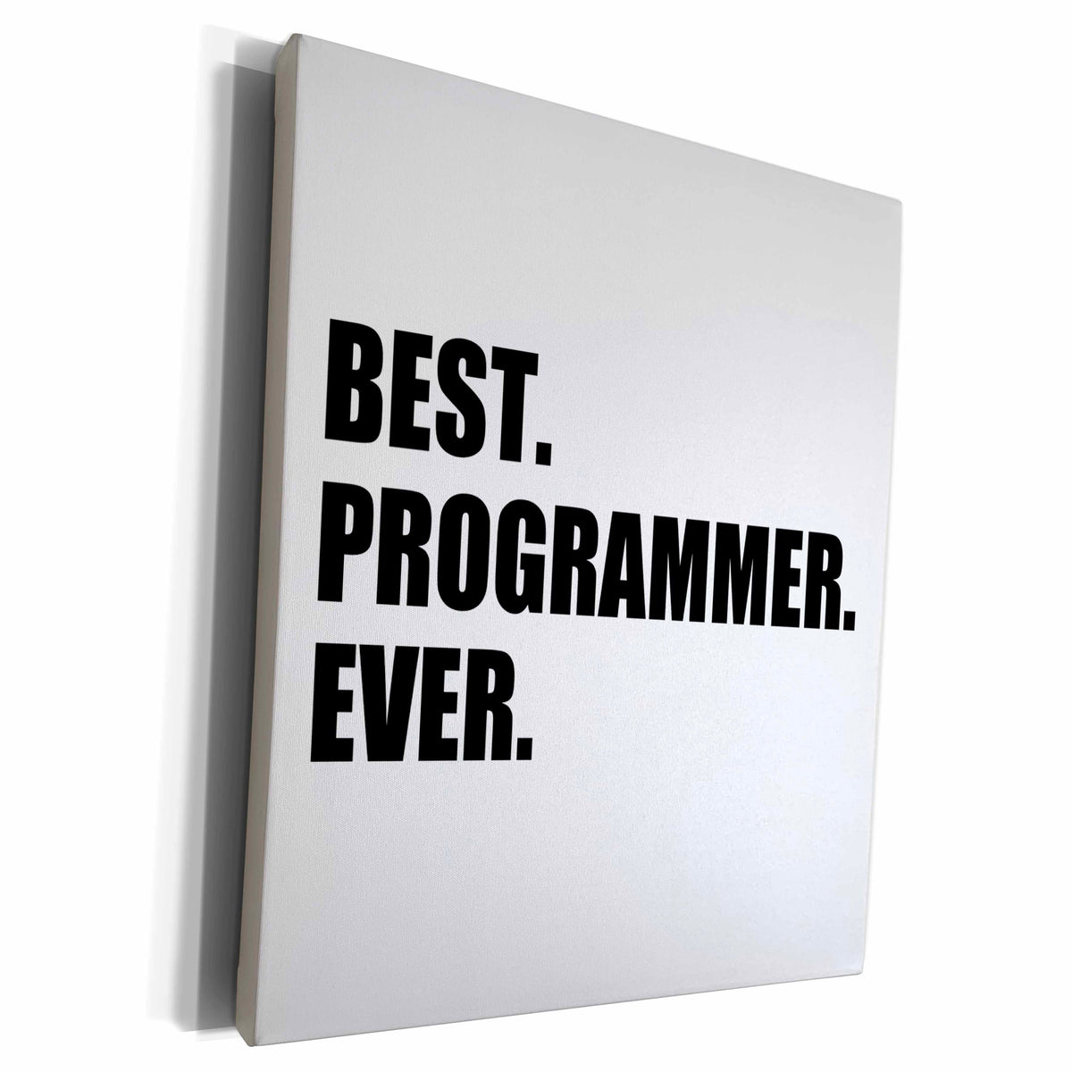 3dRose Best Programmer Ever, fun gift for talented computer... - Museum Grade Canvas Wrap (cw_185015)