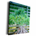 3dRose Florene Plants - Bonsai II - Museum Grade Canvas Wrap (cw_18618)
