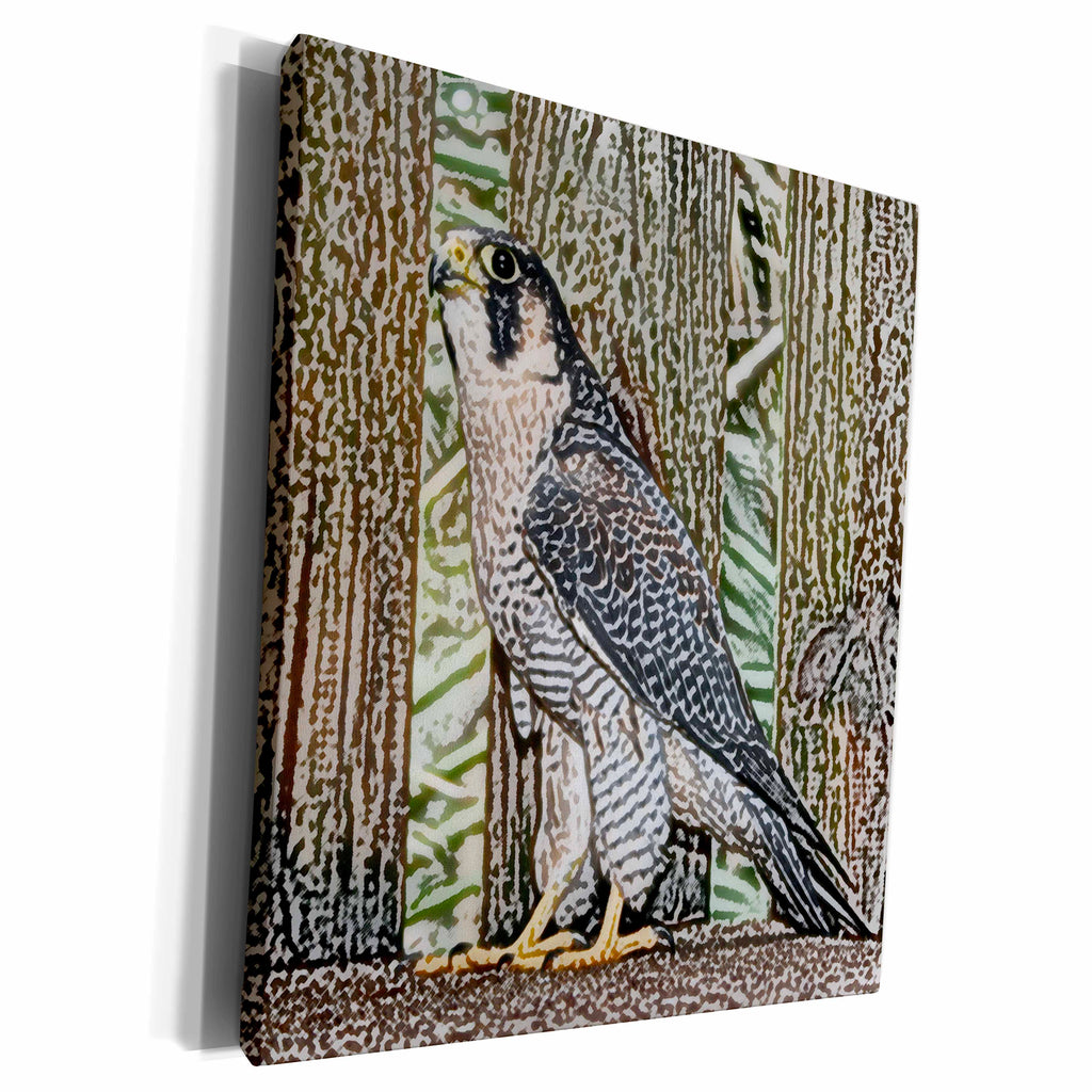 3dRose falcon sketch bird design - Museum Grade Canvas Wrap (cw_186588)