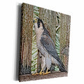 3dRose falcon sketch bird design - Museum Grade Canvas Wrap (cw_186588)