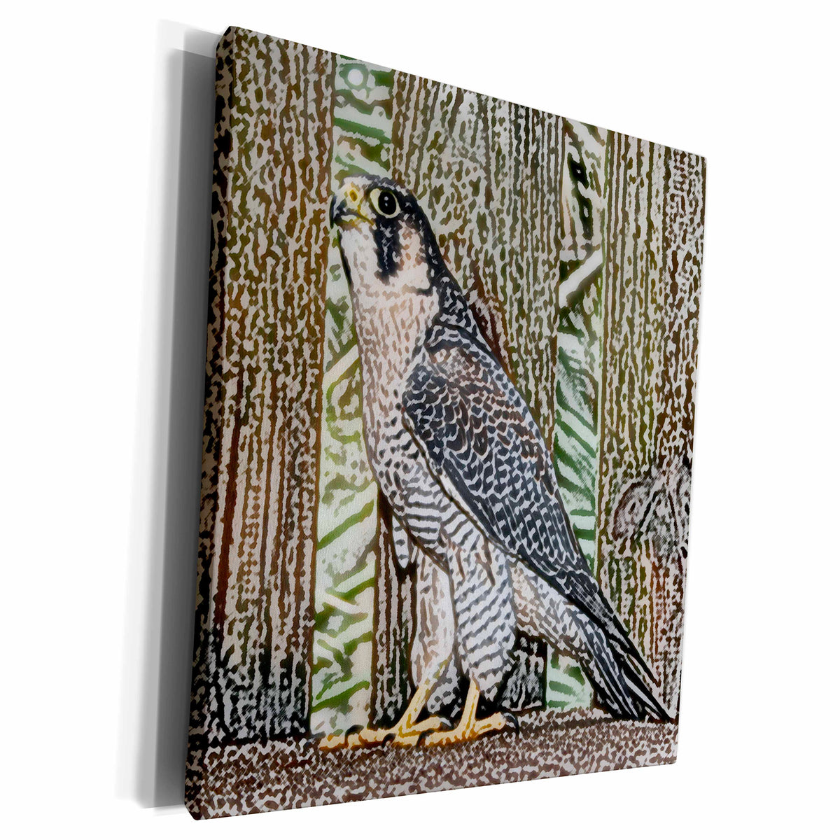 3dRose falcon sketch bird design - Museum Grade Canvas Wrap (cw_186588)