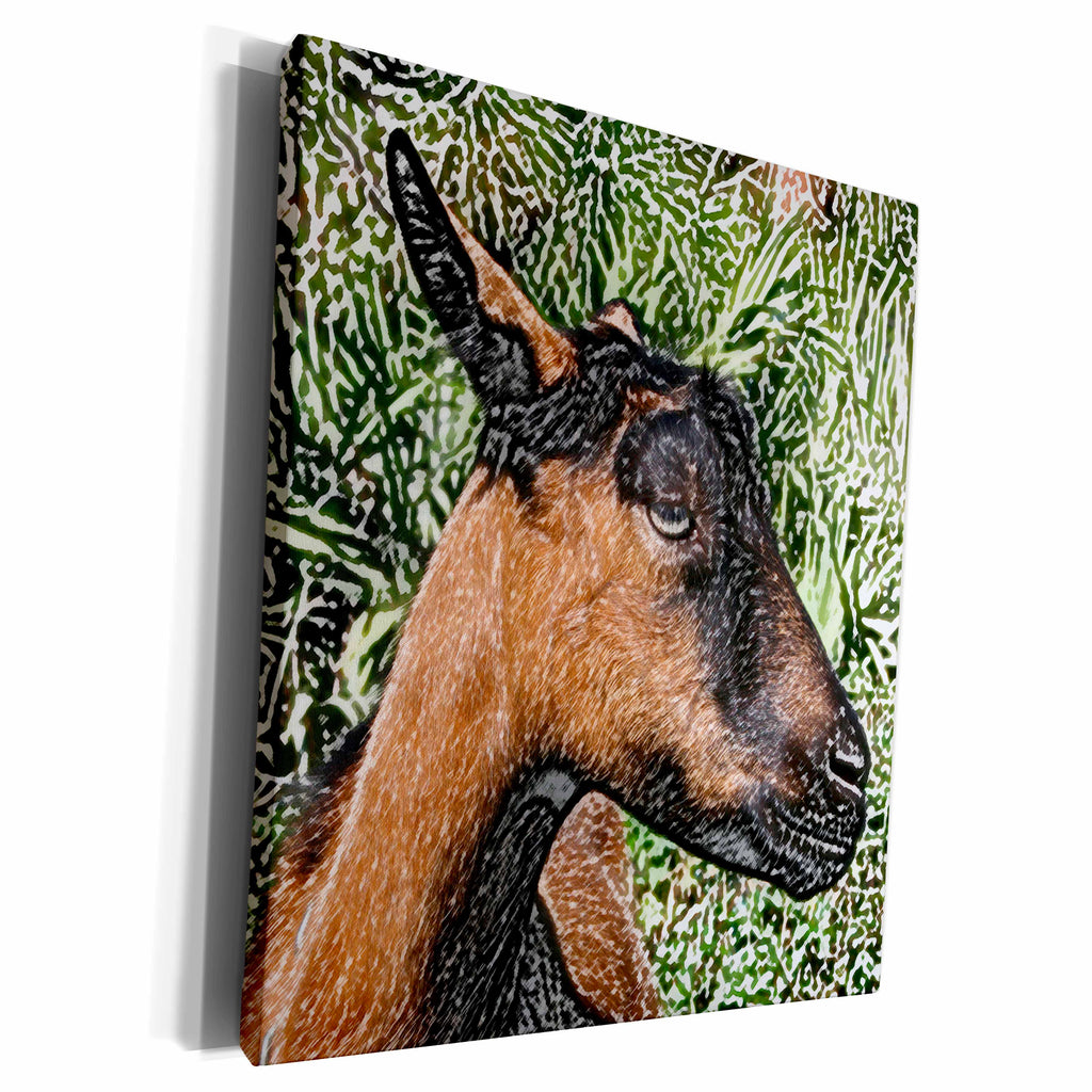 3dRose oberhasli doe goat sketch - Museum Grade Canvas Wrap (cw_186618)