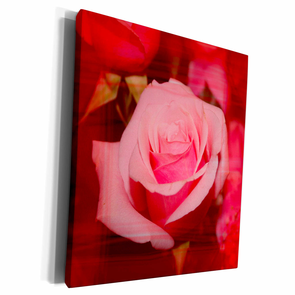 3dRose rose with red streaks over it - Museum Grade Canvas Wrap (cw_186651)