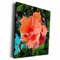 3dRose salmon colored hibiscus abstract sparkle - Museum Grade Canvas Wrap (cw_186656)