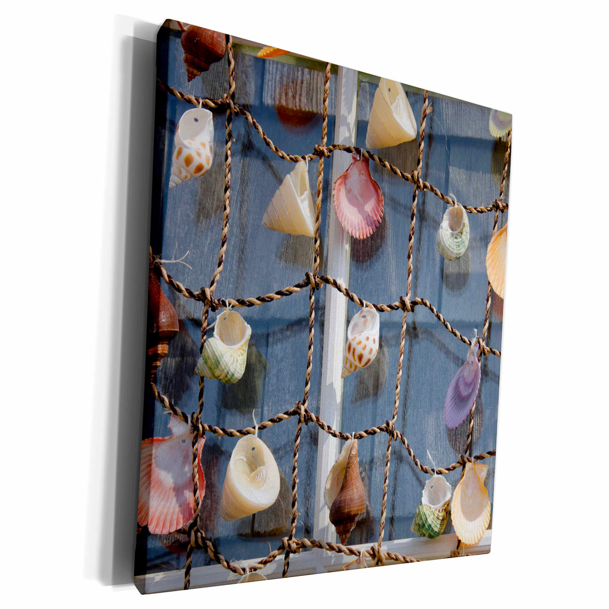 3dRose USA, Massachusetts, Marthas Vineyard. Seashells... - Museum Grade Canvas Wrap (cw_190332)